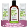 Alkmene Hair Care Set with Anti-Dandruff Shampoo & Scalp Tonic