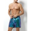 Arjen Kroos Men's Metallic Shiny Shorts Sexy Sparkly Rave Hot