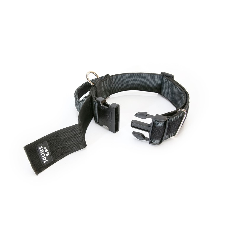 Julius-K9 Colour and Gray Collar with Handle, Safety Lock and