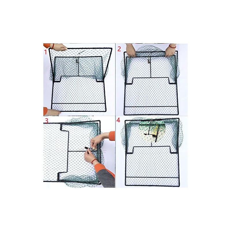Pigeon Bird Trap Trapping Chicken Quail 2 Pack Spring Starling