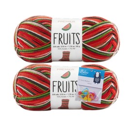 Premier Yarns Fruits, Acrylic Sock Yarn, 2-Pack Bundled with Bella's Crafts Stitch Markers (Watermelon)