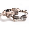 PIANETA Cat Collars, Set of 2, Puppy Collars, Cat Loquat,