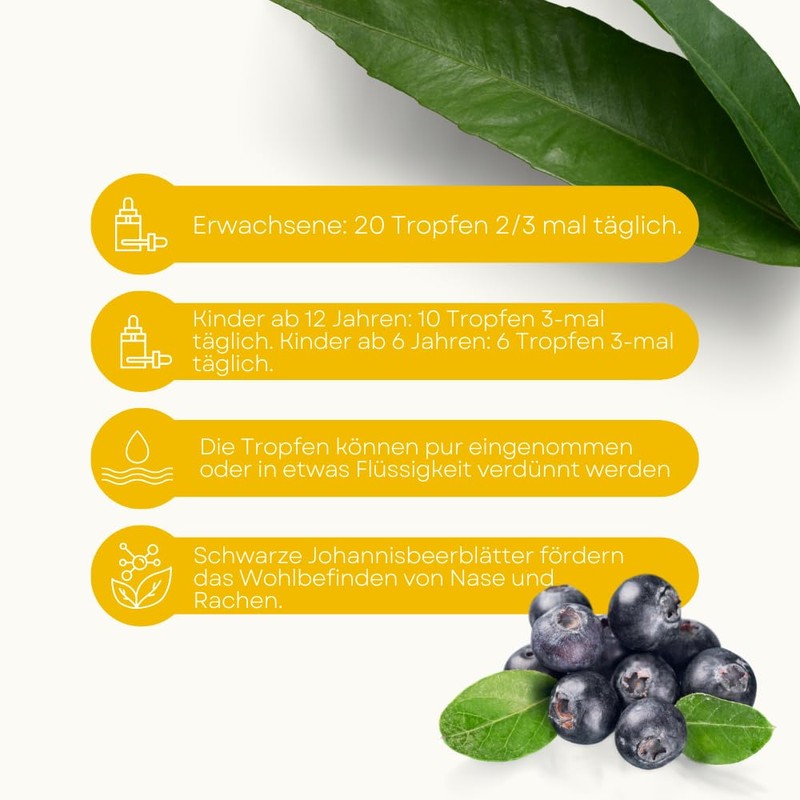 Ribes Nero Estr 100ml