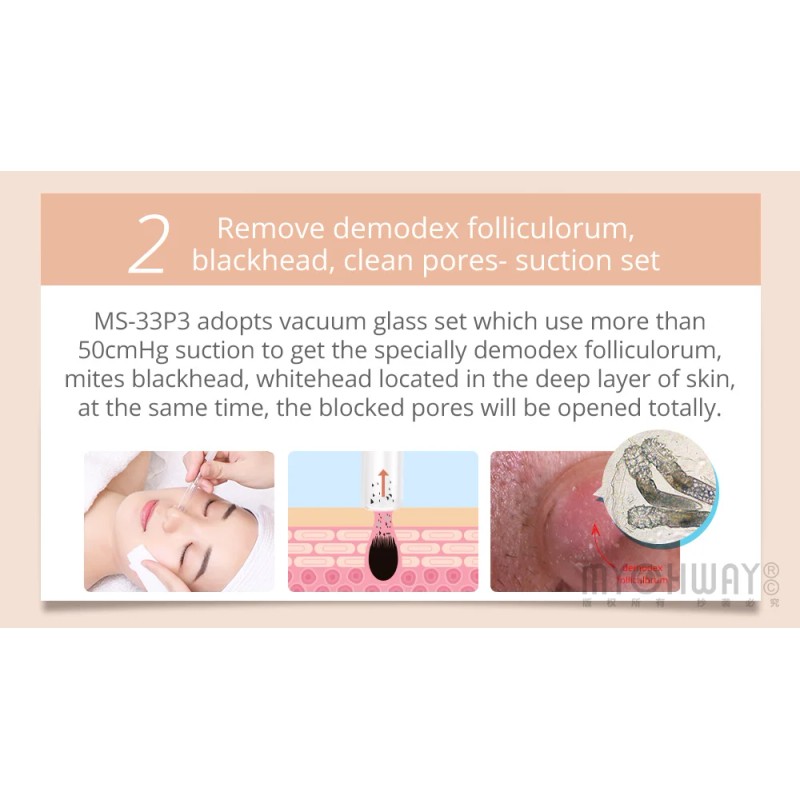Skin Scrubber Vacuum Face Peeling 2 in 1 Dermabrasion Microdermabrasion