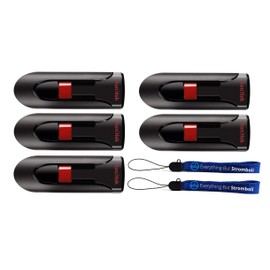 SanDisk Cruzer Glide 128GB Flash Drive (5 Pack) USB 2.0 Port Jump Drive Pen Drive (SDCZ60-128-B35) Bundle with (2) Everything But Stromboli Lanyards