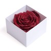 Infinity Rose Preserved Rose Box I Love You Gift for