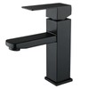 GJ Bathroom Sink Black Faucet Single Handle One Hole Rv