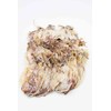 Dried Squid Saki Ika Dried Calamari Youyu 小干魷魚 Free worldwide