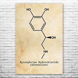 Adrenaline Molecule Poster Print, Biology Teacher Gift, Psychiatrist Gifts, Neurochemistry Art, Science Class Decor Vintage Paper (11 inch x 17 inch)