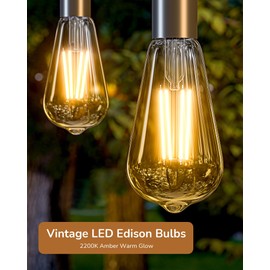 EDISHINE 6 Pack Vintage LED Edison Bulbs 8W Equivalent 60W, ST64 Dimmable Led Light Bulbs, 700LM 2200K Amber Warm Light E26, Decorative Antique LED Filament Bulbs for Home and Commercial, UL Listed