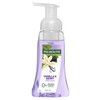 Palmolive Buy Palmolive Foaming Hand Wash Vanilla & Berry 250ml Online | Chempro Chemists