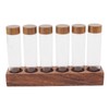 Coffee Bean Storage Tubes with Walnut Wood Stand Lid Glass