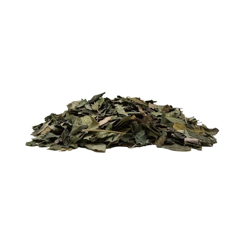 Kobe Arti Moringa Leaf 17.6 oz (500 g) (250 g