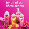 Softsoap Body Wash, Honeysuckle & Orange Burst Body Wash, 20