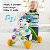 Fisher-Price Baby Push Toy Learn with Me Zebra Walker Musical