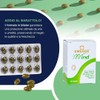 Omegor Mind Omega 3 e 6 con Bacopa Monnieri -