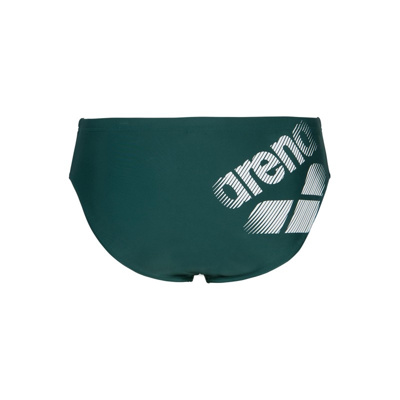 ARENA Slip Nuoto da Uomo Feel Logotype