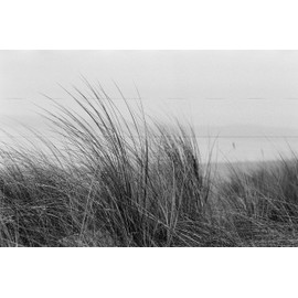 Original Wolfen (Orwo) NP100 Black / White Small Film in Double Pack 2 x 36 Shots / Made in Germany