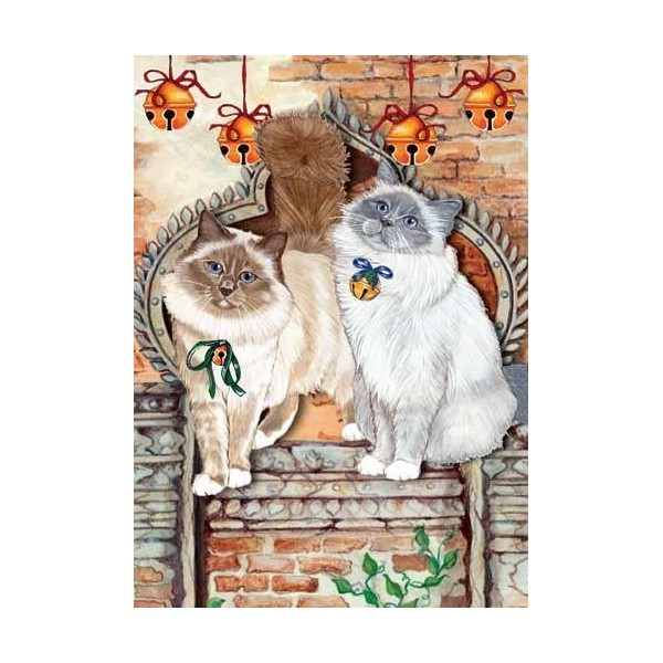 Pipsqueak Birman Cat Christmas Cards : 10 Holiday Cards Red Envelopes - Adorable!