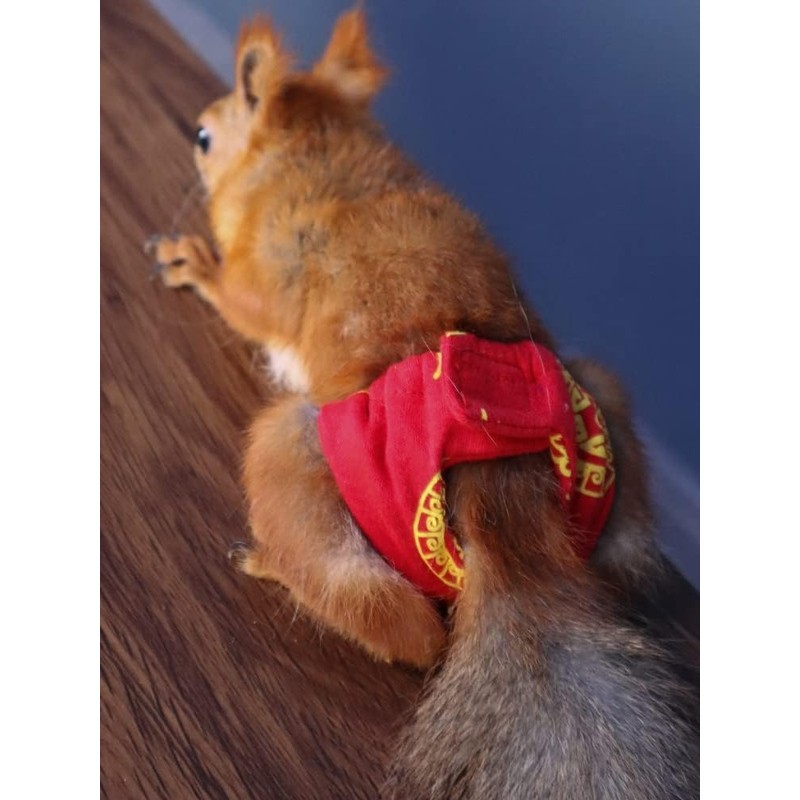 TTMIMIK Adjustable Small Pet Diapers, Reusable Washable Squirrel Diapers Absorbent