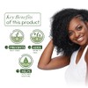 ORS Olive Oil Creamy Aloe Shampoo & Replenishing Conditioner with