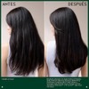 Aveda Scalp Solutions Balancing Shampoo Limpiador Hidratante