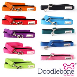 Doodlebone Dog & Puppy Leads - 10 Bold Colours/3 Sizes (Small, Purple)