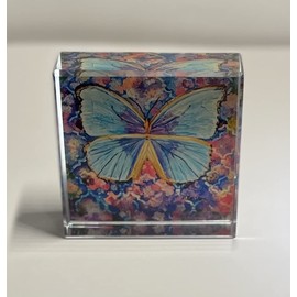 Beauty: Queen of All Morphos