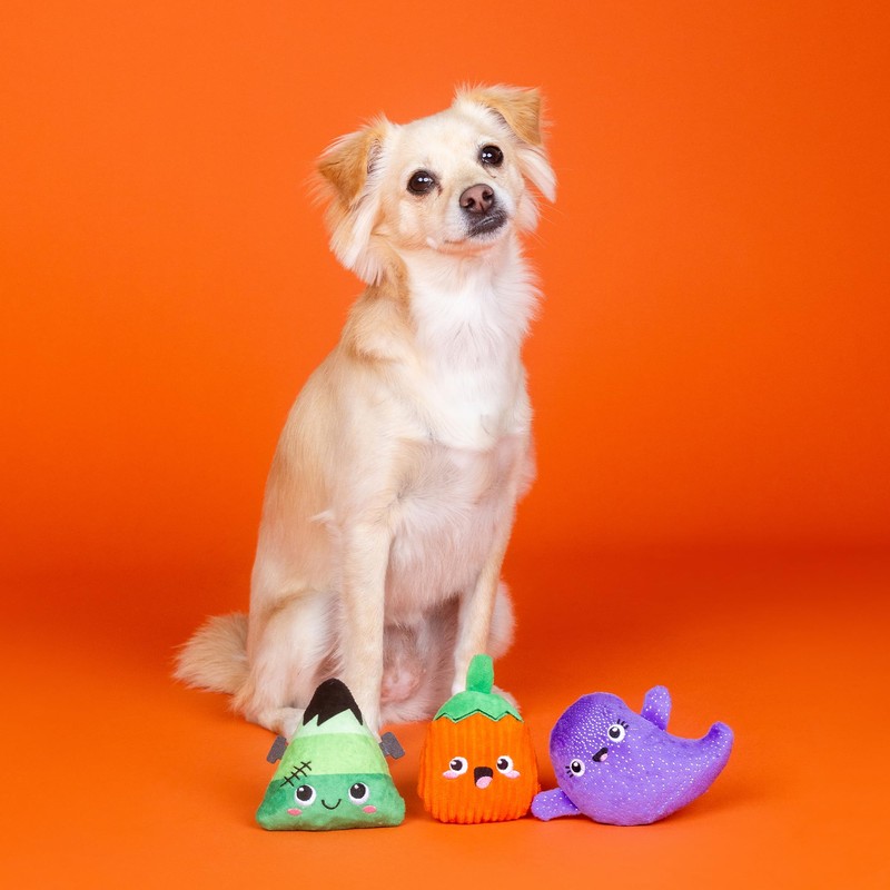 Fringe Studio Small Plush Dog Toy Set, Spooky Squad, 3