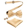 Alizeal Mens Tuxedo Bow Tie, Hanky and Cufflinks Set (Champagne)