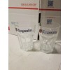 Hoegaarden Original Belgian Wheat Beer 0.25l Glass - Set of
