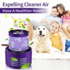 Dyson V10 Filters, morpilot 2 Pack Dyson V10 Replacement Filters