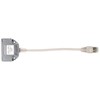Digitus Adapter, Rj45 Cable Category 5 RJ45 Male to 2x