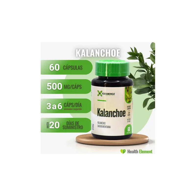 Resveratrol + Kalanchoe | Antioxidante E Inmunidad | Momosie