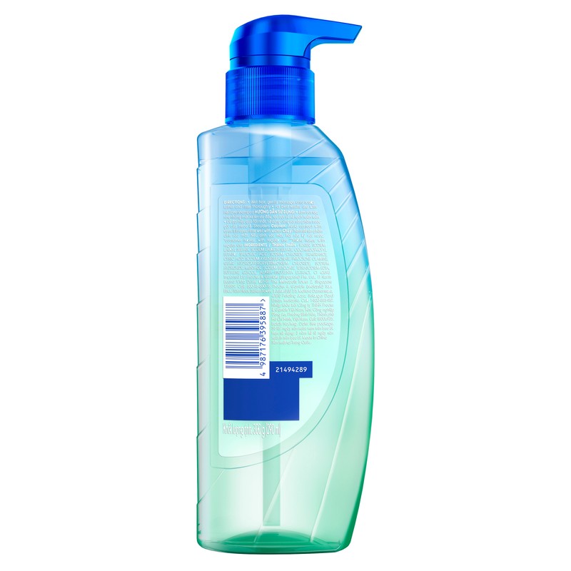 Head and Shoulders 72H Oil Control + Anti-Dandruff Shampoo 300g