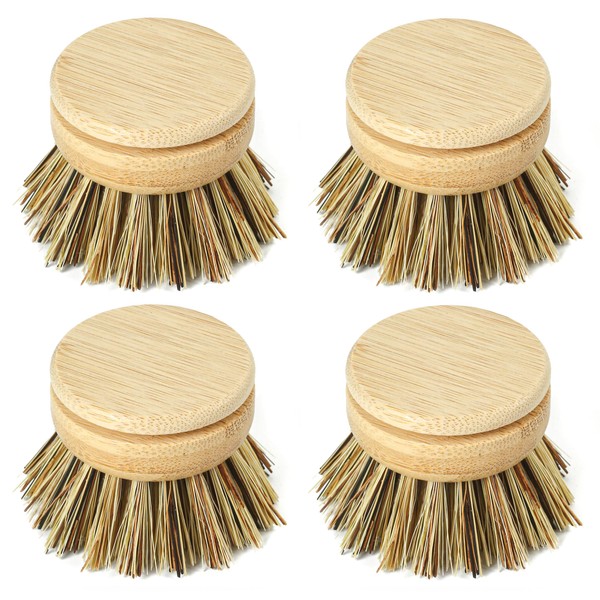 Jungle Culture Firm Bristle Replacement Brush Heads for Eco Dish