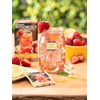 Bigelow Botanicals Cold Water Infusion Strawberry Lemon Orange Blossom Tea