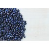 Serendipity Seeds Bean Seeds -Black Valentine Bean - 200 Heirloom