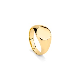 Radiant Ruiz Collection - Stainless Steel Rings in Gold and Silver for Men in Rebel Style and Elegant - Size 22 to 26
