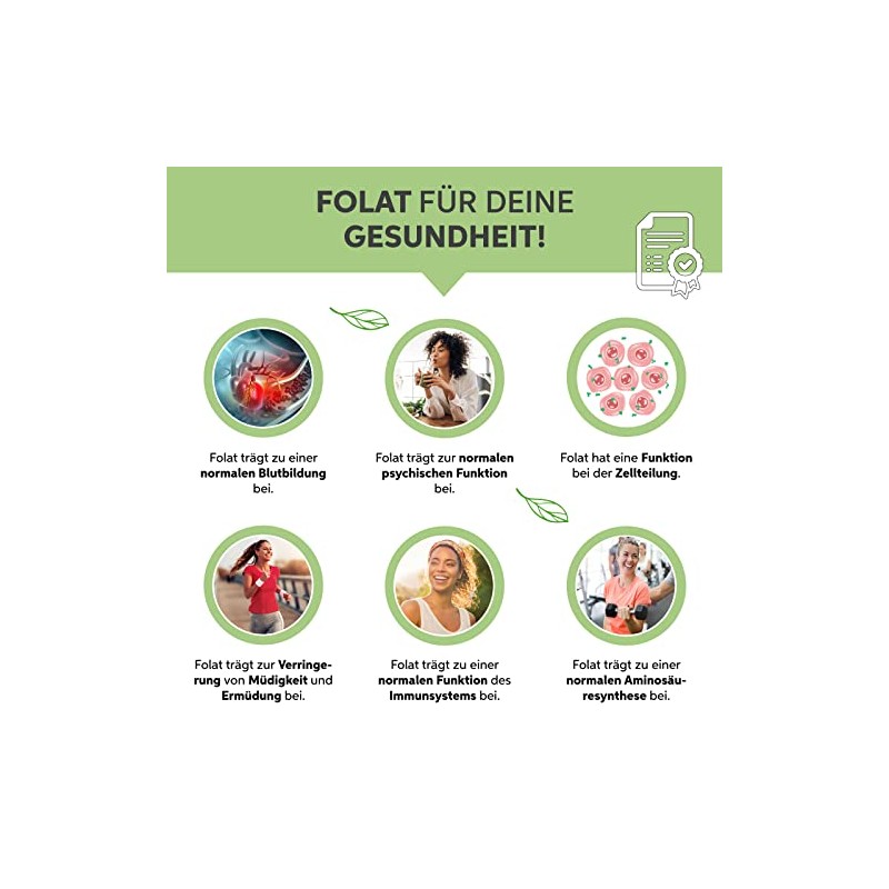 eltabia Gerstengras Pulver gemahlen 1000g | Gerstengraspulver in Premium Rohkost-Qualit?t