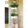 Elho Brussels Herb Station 30 - Flower Pot for Growing