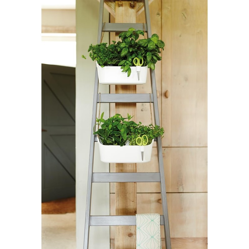 Elho Brussels Herb Station 30 - Flower Pot for Growing