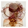 Yurosiay Women's Organza Hat Sun Protection Sun Hat Organza Large