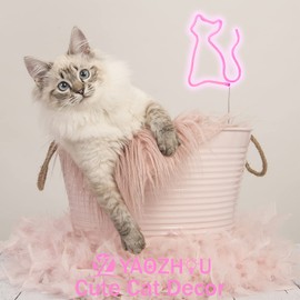 Luces LED de neón para decoración de pared, funciona con pilas o USB para habitaciones, decoración de pared de mesa, letrero de luz LED de neón, decorativo para bares, Navidad, fiesta en casa, cumpleaños, boda, habitación de niños o niñas (gato rosa)
