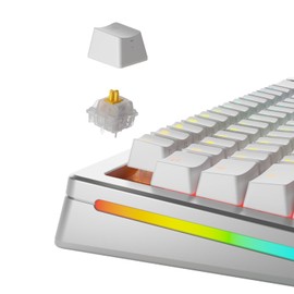 GLORIOUS Gaming - Panda Silent Switches (36 PCS) Lubed Tactile Switches for Gaming and Typing, for MX Hotswappable Mechanical Keyboards, 3-Pin Plate Mounted