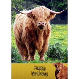 Highland Cow Birthday Card