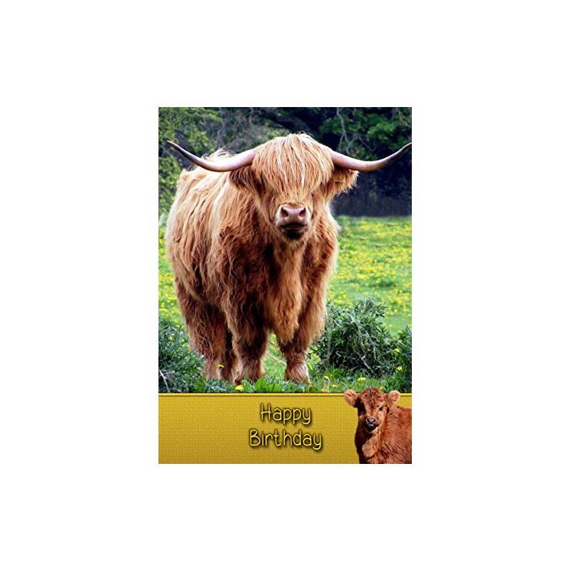 Highland Cow Birthday Card