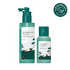 ROUND LAB Pine Calming Cica Scalp Tonic 100ml Set (+Shampoo