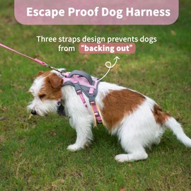 Huntboo Escape Proof Dog Harness Medium, Anti-Pull Dog Harness with Handle, Breathable, Adjustable, Reflective Dog Harnesses, Lightweight Dog Harness for Small and Large Dogs Outdoor (Light Pink,XS)