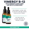 Vimergy Liquid B12 – Fast-Absorbing Brain Support – Energy Support